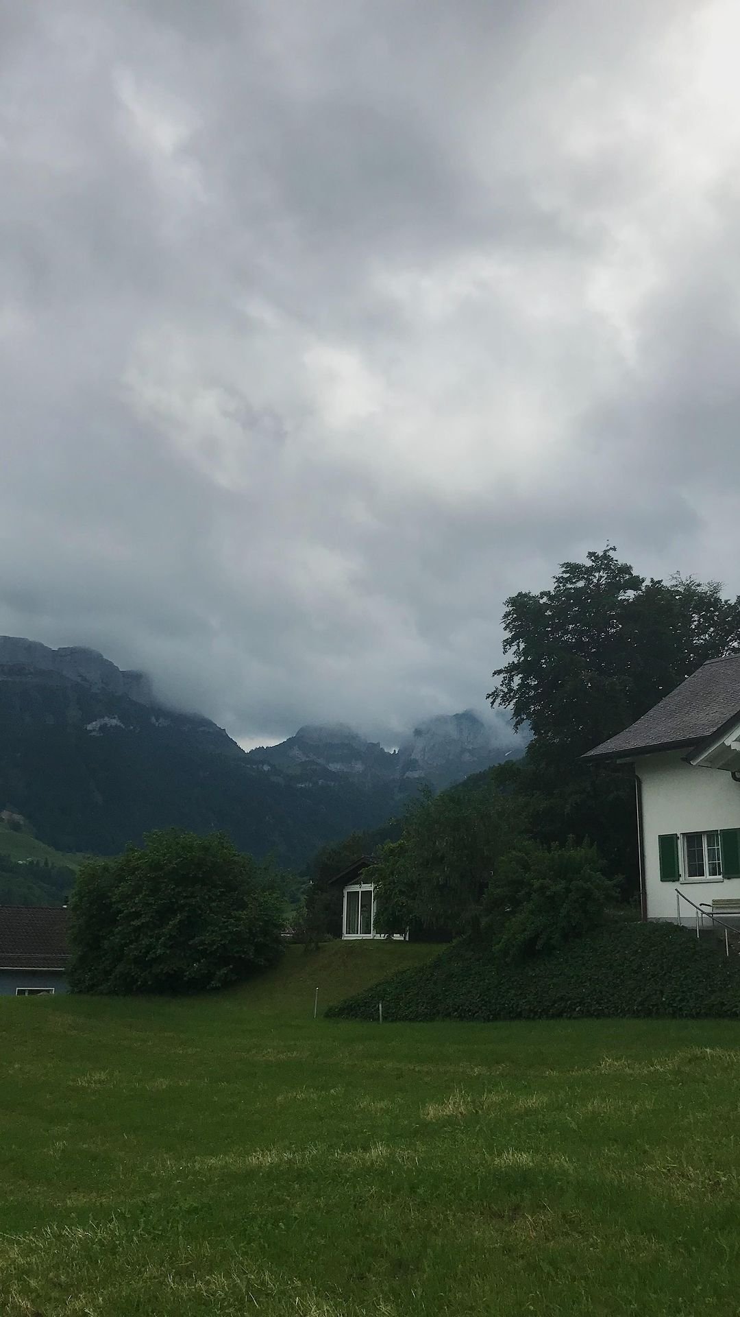 MurraySuez1983's profile picture. 嗨