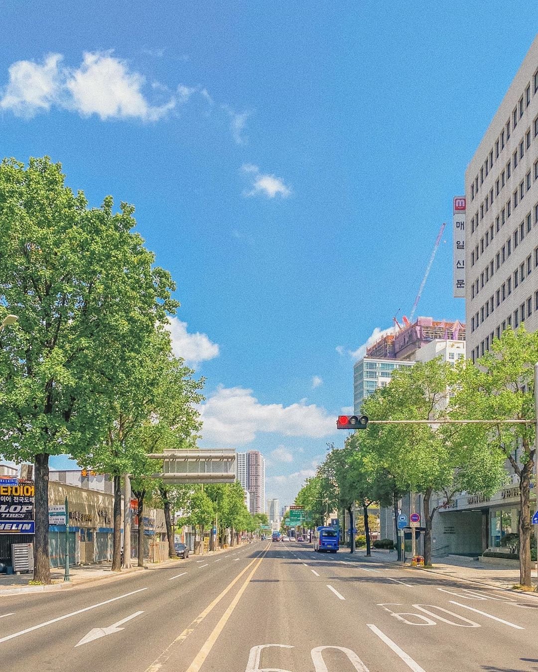 RosabiancaWine's profile picture. 今世はもう諦めてます