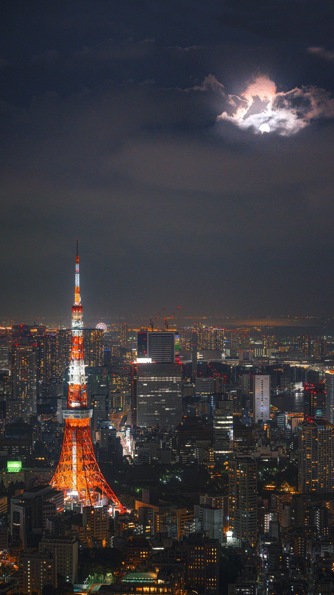 Salazara07Alana's profile picture. 本体部分は”でこ”。いまだに酔う！SNSとの距離感遠め。魂の形はうささきさん。イルネルはかわいいし、マリシアにはなんでも着せたくなっちゃう。