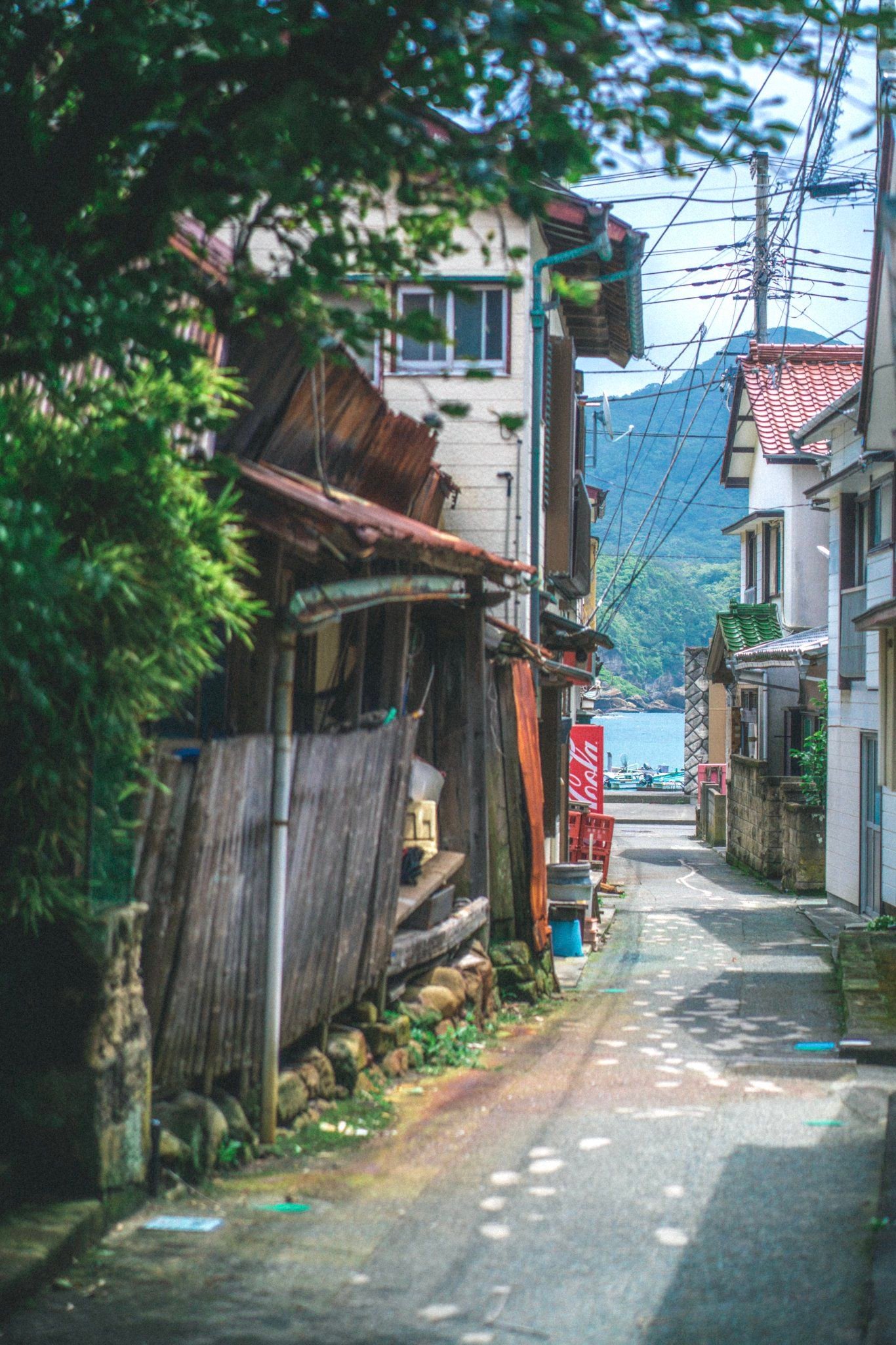 SecurityElectri's profile picture. NAI使い始めました。スマホでお手軽生成。初心者の為温かい目で見て頂けると幸いです。無言フォロー失礼致します。一応、此方に投稿したものは無断転載厳禁でお願い致します