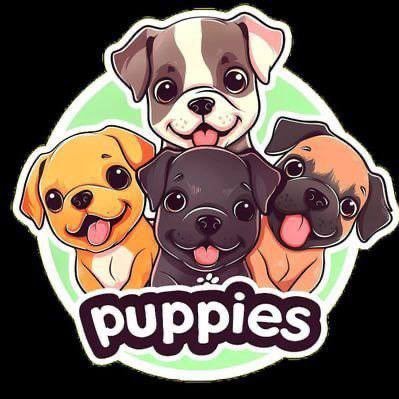 PUPPIESSupport_'s profile picture. On February-11-2024, Elon tweeted: "I love puppies" Our $puppies community rescues stray dogs with love and care. TG: https://t.co/2qjPP7KmlA...