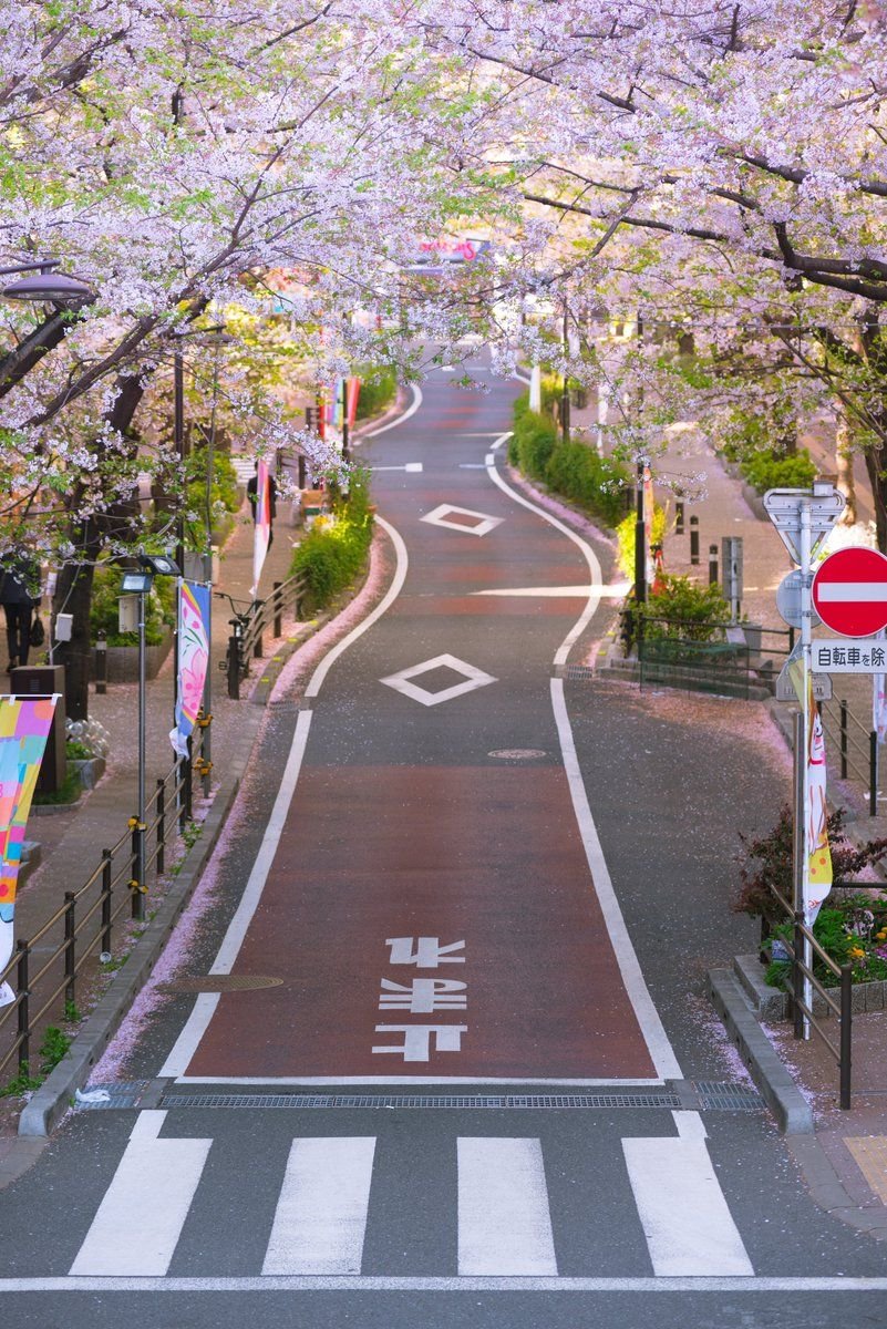 seymakilic71's profile picture. サイトブログアフィリなど12年越ネット業界経験｜AI専門家/シナリオ記事ライティング・コンテンツ作成代行（AI活用含）/SNSマーケ/SNS講座講師｜SEOアフィリの経験からライティングスキルが認められシナリオ作成・Xポスト作成などの受託開始、現在AIライティング他、GPTs・AI開発、AI活用や導入支援・教育など実践