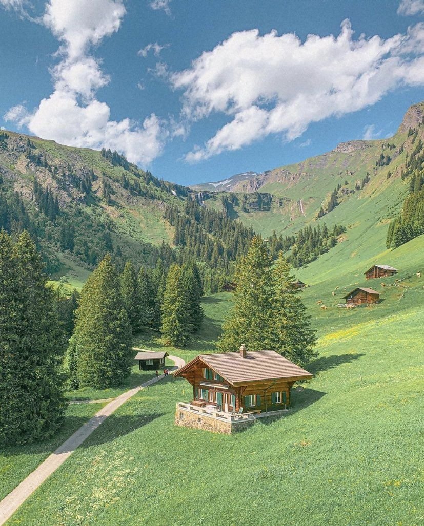 SupraTchazz's profile picture. 독도는 한국의 고유영토!! 일본의 역사적 근거는 대부분 왜곡된 것이다!! (独島は韓国固有領土！！ 日本の歴史的根拠はほとんど歪曲されたものだ！！)