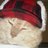 StargazerPhoto's profile image