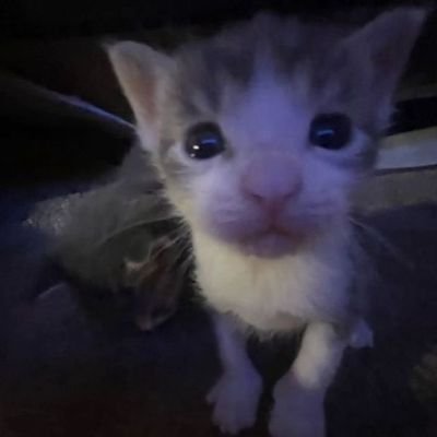 zayzayazay__'s profile picture. 𝚑𝚎/𝚝𝚑𝚎𝚢🪐 -- 𝙿𝚃-𝙱𝚁/𝙴𝙽𝙶🇧🇷🇺🇲