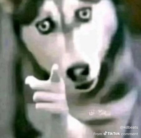 WedgemanJay's profile picture. 20/ cali/ Yea i exist on here now/ DAgames/ Boxing/ crossover boxing/ dragon ball enthusiast/ Linkin park/ Gorillaz