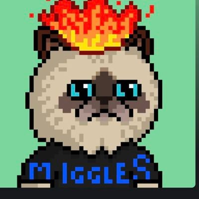 Wagmi 🫡🫡 Profile