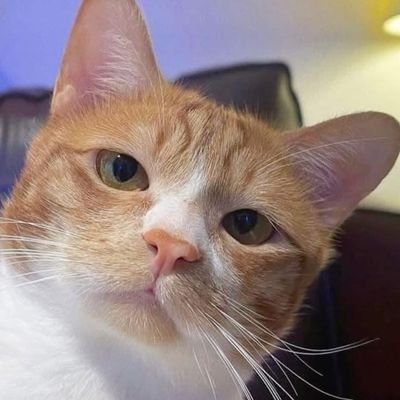 eizy_one's profile picture. 