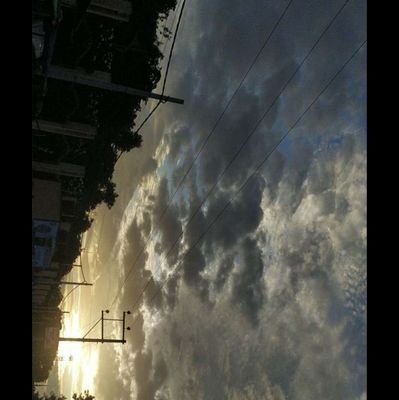 yadarlingex's profile picture. Education || Research⚗️ || Growth🌐 || Microbiologist