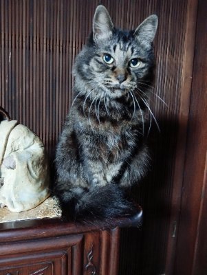 PrYH9Aqv2922797's profile picture. 頑張っている人が報われる社会に👍愉しく、元気に、前を向いて🥰