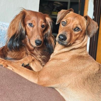 DagaGre's profile picture. To najkrajšie, čo ma v živote postretlo,  je navždy uložené v mojom srdci.  Nothing else matters......