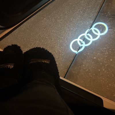 dontfwhumans's profile picture. 