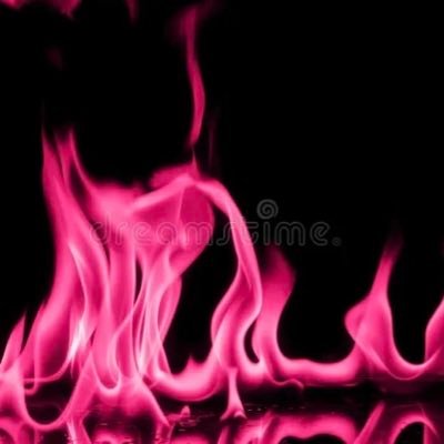 failmaddog's profile picture. prairie flower