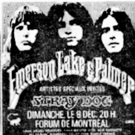 MikeS8998's profile picture. 