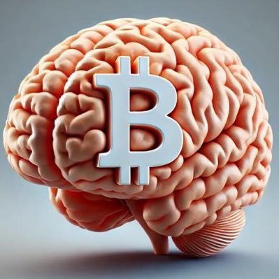 borongbitcoin's profile picture. the future of money is onchain