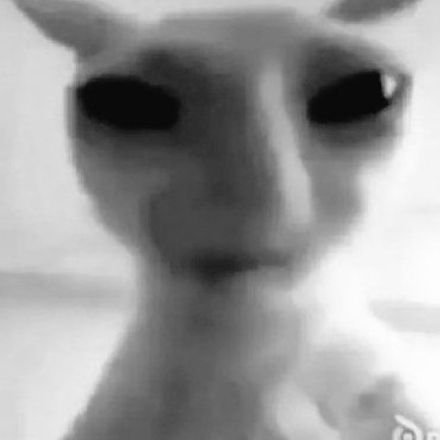 Unfurrandom's profile picture.