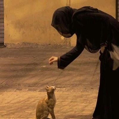 bosa_ba's profile picture. RT🩻