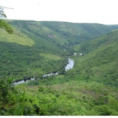 beautCongo's profile picture. 