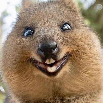 Twist3760pxz's profile picture. I don`t know what to think or believe anymore.