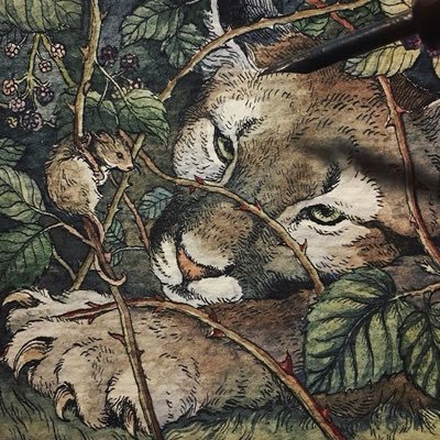 sydpleton's profile picture. meow (multifandom)