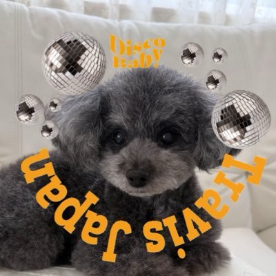 えっこ(わかば)