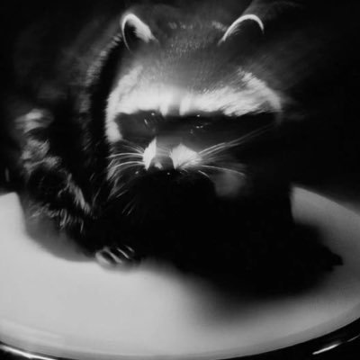 dedpedefigo's profile picture. coroado rei do amendoim em 2001 | qualquer pronome | @ded.bsky.social