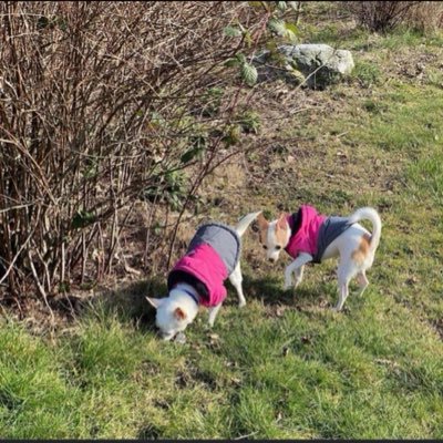 AMooreye's profile picture. 