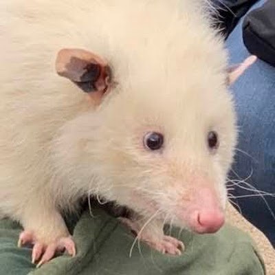 Jammed_468's profile picture. 