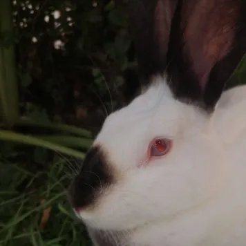 DavidB70599's profile picture. 