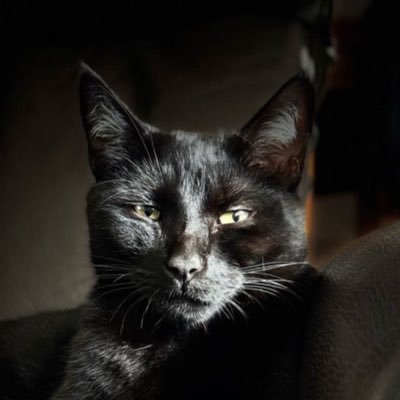 J_C_S_77's profile picture. 