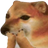 DogeBonkuponly's profile image