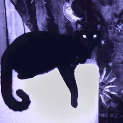 LIMELIGHTBLOOM's profile picture. OH YES , OH YES , OH YES , THEY BOTH — OH YES , THEY BOTH — OH YES , THEY BOTH REACHED FOR THE GUN , THE GUN , THE GUN , THE GUN .ᐟ