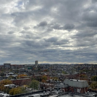 chbflink's profile picture. 