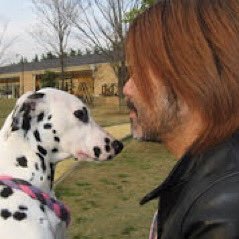 czyond's profile picture. Bass, FretlessBass, Synthesizer, Keyboards, Drums, Guitar, FLStudio, SilverAccessories