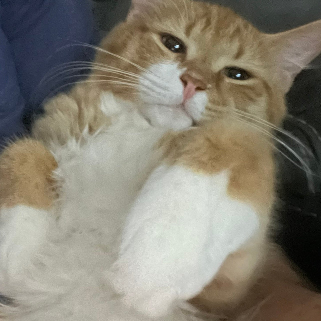 AndrewSarge1781's profile picture. 