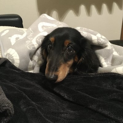 pinballof1970's profile picture. 平塚海岸にある「ひらつかシーテラス」近隣在住民です