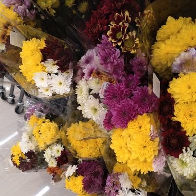 a_nntlie's profile picture. รักทนตไม่เคยเสียใจเลยสักวัน ⭐💟