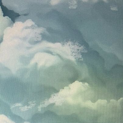 fudanscaras's profile picture. burner.