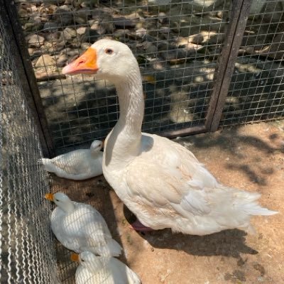 nchyninthn's profile picture. หวีดหลายด้อม ‼️ หวีดไปเรื่อย...เหนื่อยก็พัก 
| Xiao Zhan #肖战 | Wang Yibo #王一博 | อิมินา #สกายนานิ 
@skywongraveee @hirunkit_
แอคเก่าโดนระงับ @nchyninth