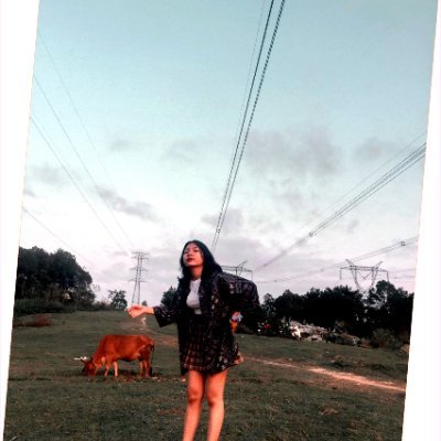 DominquePa78936's profile picture. 