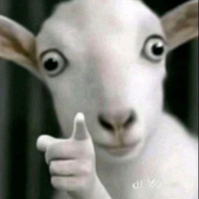 certifiedoyinbo's profile picture. 