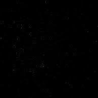 anaclaraa_4's profile picture. 