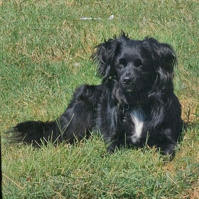 WildmanOkl57316's profile picture. Oklahoma Wildman - reviews for awesome finds