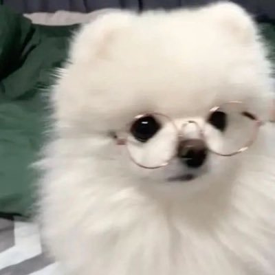 anyannai's profile picture. 🇵🇭#T1WIN the silver goat @rhobbiii @shiokurai