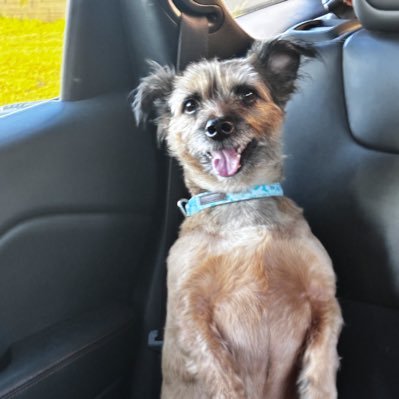 jillybird42's profile picture. yep, it’s me..Hi 👋🏻  •   “If it costs you your peace, it’s too expensive.” — Nassim Nicholas Taleb