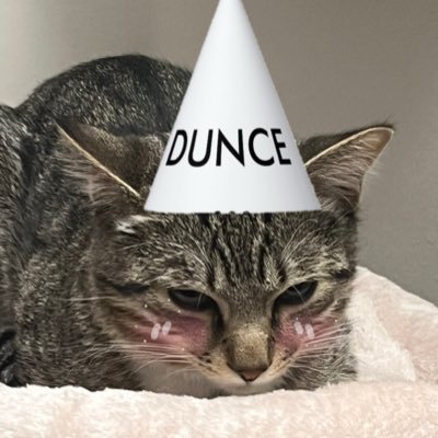 beaniepuppypaws's profile picture. deleting at 50k tweets | insufferable is my brand | #nw: Animal Kingdom