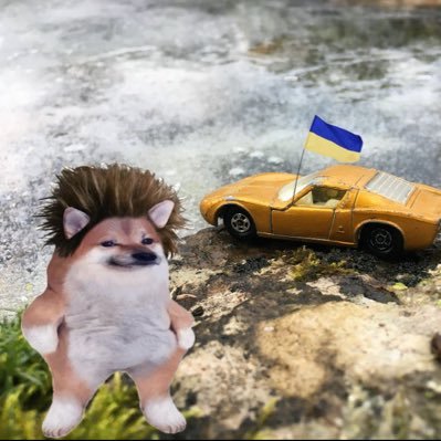 GaN_nafo_fella's profile picture. Here for Ukraine🇬🇧🇺🇦 Amateur plant grower/breeder, Hens, Bees, Nature💙💛