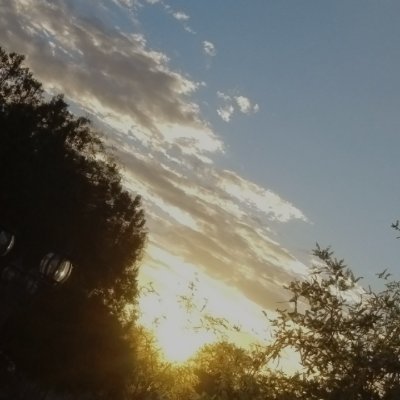 RobinDaban90389's profile picture. 