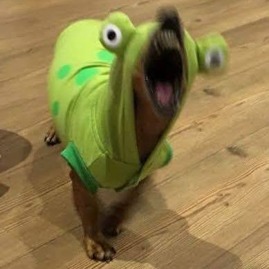 toaddfish's profile picture. oce, val player