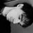 piuitictacs's profile image